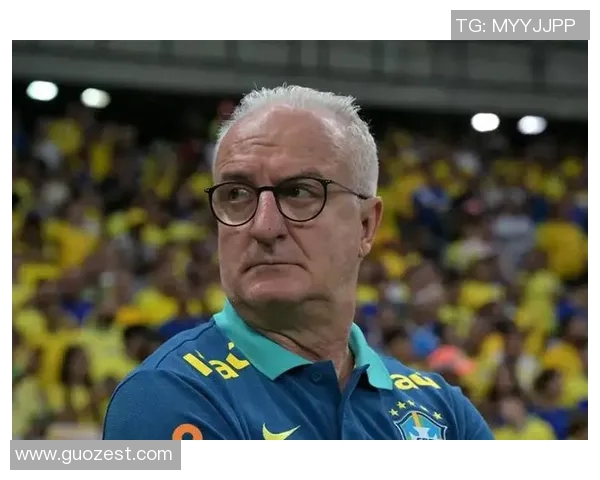 巴西足球30岁以上明星球员名单揭晓他们的辉煌成就与未来展望 巴西足球30岁以上明星球员名单揭晓他们的辉煌成就与未来展望